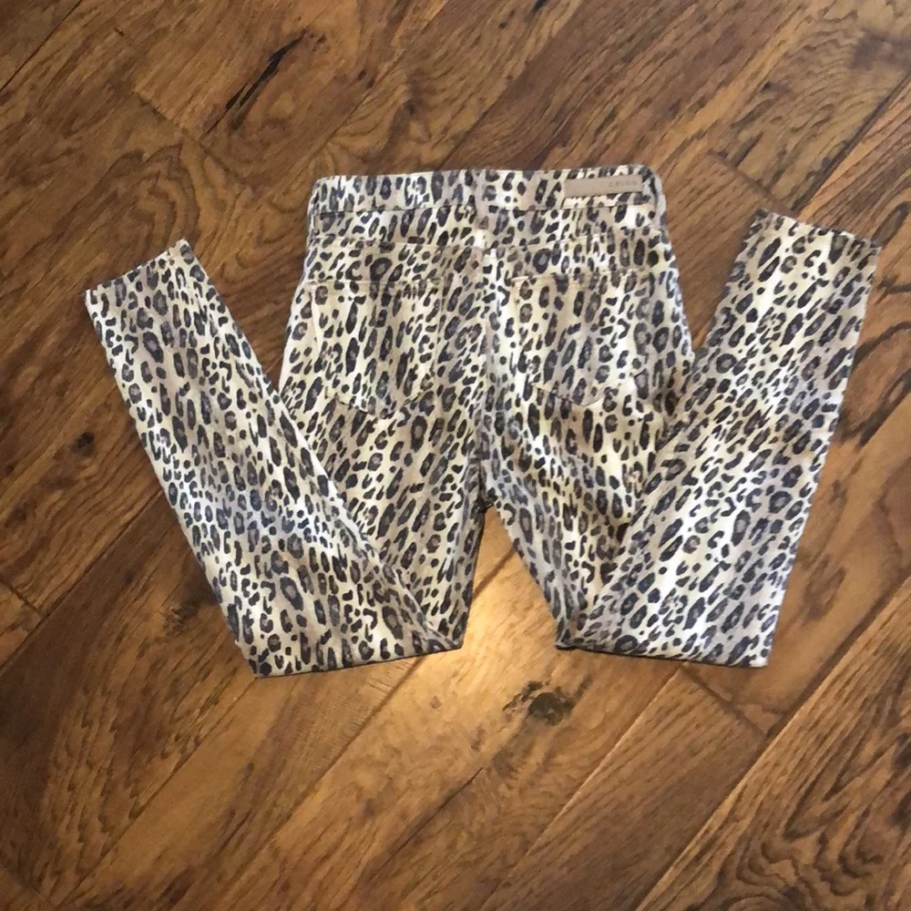 Cello snake print pants - Picture 3 of 11